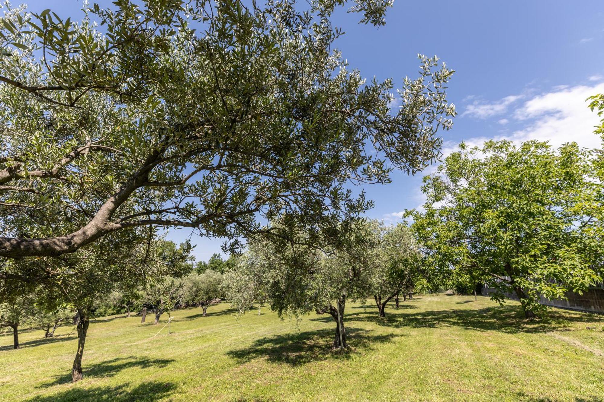 Múggia Affittacamere Cigui מראה חיצוני תמונה